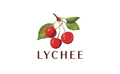 Illustration of Lychee Cherries with Green Leaves and Stem in Natural Fresh Fruit Design