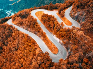 Fotobehang Diep Rood Aerial view of mountain curvy road and red forest in autumn. Dolomites, Italy. Top view of winding road on mountain pass, orange trees in fall. Snake road in the woods. Colorful landscape with road  © den-belitsky