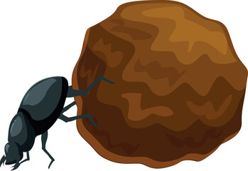 Dung beetle pushing a ball of dung, isolated on white background