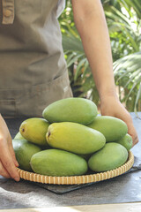 Fresh Green Mangoes in Wicker Basket - Tropical Fruit Harvest Display