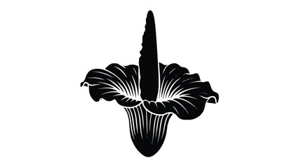A black and white silhouette illustration of a Corpse Flower (Titan Arum) in full bloom.