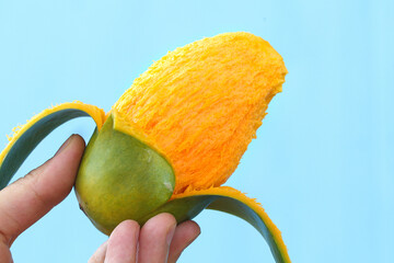 Hand peeling fresh ripe mango fruit revealing orange flesh against blue sky