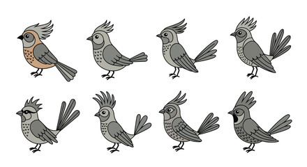 Set of various cute bird illustrations showing different crests and plumage variations
