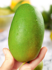 Fresh Green Mango with Water Droplets Held in Hand - Tropical Fruit Showcase