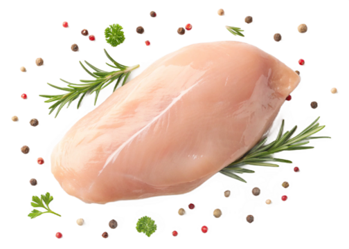 Raw uncooked chicken breast with cooking ingredients