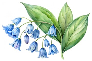 Obraz premium Watercolor Painting of Bluebell Flowers with Green Leaves on a White Background