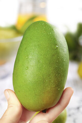 Fresh Green Unripe Mango with Water Droplets Held in Hand - Tropical Fruit Close-up