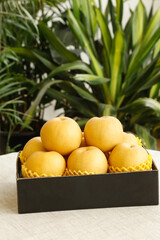 Premium Golden Pears in Gift Box - Fresh Autumn Harvest Fruit Display