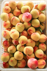 Fresh Yellow Nectarines from Shaanxi China Orchard Harvest in Crate