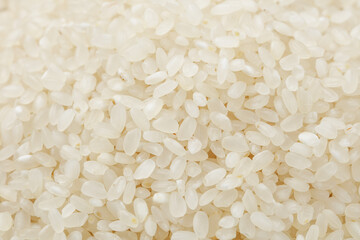 Fresh White Rice Grains Close-up Macro Texture Background - Raw Cereal Grain Food Ingredient