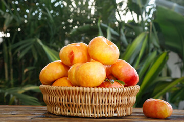 Fresh Yellow Peaches from Shandong Yimengshan in Wicker Basket - Organic Fruit Harvest