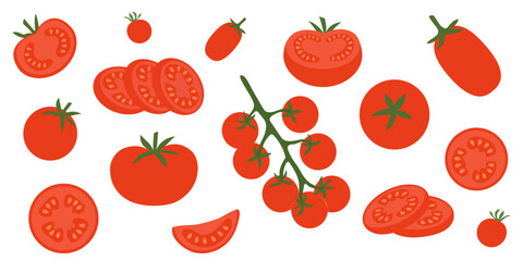 Fresh red tomatoes illustration. Whole, Half, Quarter, Slice, Angled, Hand Drawn Set Isolated. Fresh organic vegetables for cooking, salad, healthy eating
