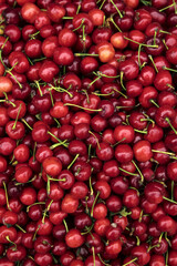 Fresh Red Cherries with Stems - Summer Fruit Display Background