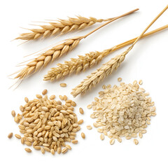 Steel-cut oats isolated on white background, showcasing coarse, nutritious oat pieces prized for hearty texture