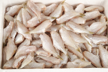 Fresh Raw Fish Fillets in Container - Seafood Cooking Ingredients for Restaurant Kitchen