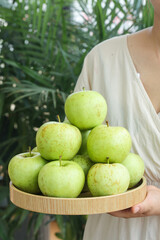 Fresh Green Apples from Shandong China on Wooden Tray - Healthy Organic Fruit Harvest