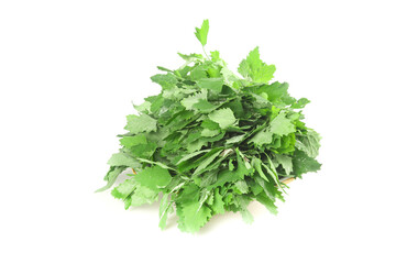 Fresh Wild Ashwagandha Shoots and Leaves Bundle from Gansu China Isolated on White Background