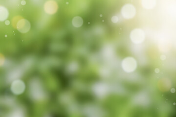 Obraz premium Green blurred background with lights deactivated or bokeh. Natural green background. Element for design.