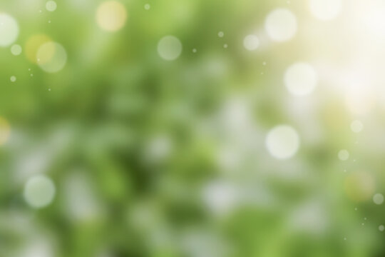 Green blurred background with lights deactivated or bokeh. Natural green background. Element for design.