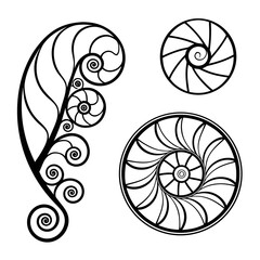 Obraz premium Elegant black and white abstract swirling spiral designs and a fern frond element representing nature and organic patterns in a clean graphic illustration
