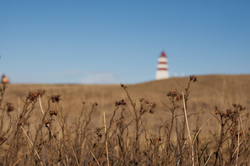bokeh lighthouse and a field in the autumn.