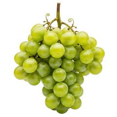 Ripe green grapes hanging fresh healthy fruit produce food photography transparent background