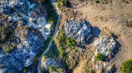 Aerial View of a Rocky Trail and Surrounding Landscape