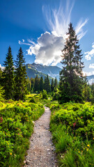Serene mountain landscape with a walking trail under a blue sky