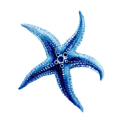 A blue starfish with white dots