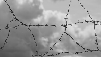 gray background, in the photo barbed wire against the gray sky