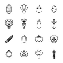 野菜のアイコンのセット　ベクターイラスト　手描き風