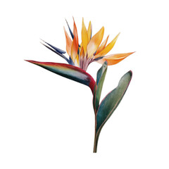 A yellow flower with a green stem