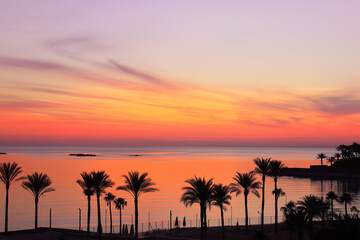 Naklejka premium Sunset view over calm sea, orange and pink sky reflecting on water, silhouettes of palm trees on shore. 