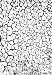 cracked ground texture