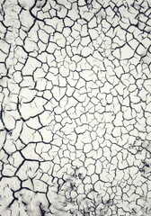 dry cracked earth