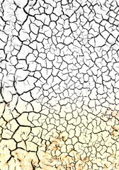 cracked ground texture