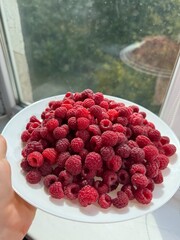 Pile of fresh red raspberries rotating. Sweet harvest. Organic vitamin product. Juicy raspberries. Stack of berries. Vertical video. Fruit pattern. Concept of healthy food. Close-up in 4K, UHD
