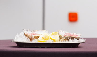Close-up of oysters on ice with lemon slices, a fresh seafood delicacy offered at Naplavka outdoor farmers market in Prague, symbol of gourmet cuisine and social weekend activity.