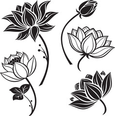 set of black and white flowers