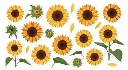 Cheerful Sunflower Collection in Vector Format for Summer Designs and Garden-Themed Illustrations, perfect for greeting cards, invitations, and educational botanical resources.