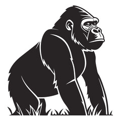 Fototapeta premium Majestic Gorilla Standing Vector Illustration.