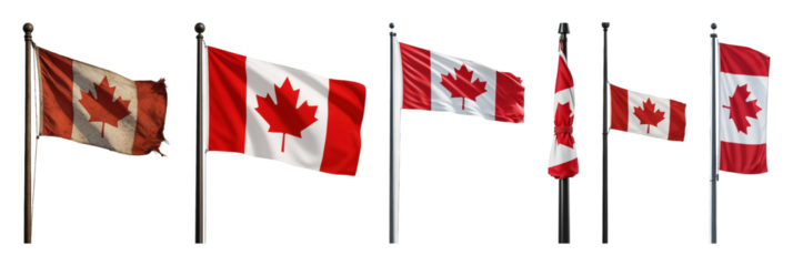 Canadian flag set including new, weathered, waving, furled, and vertical variations isolated. National symbol and patriotic representation.