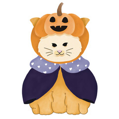 Halloween cat ghost