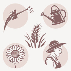 Farmer woman watering plants and growing wheat and sunflower