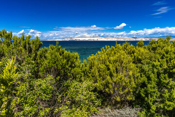 Beach Ciganka FKK naturist on the island of Rab in Croatia,