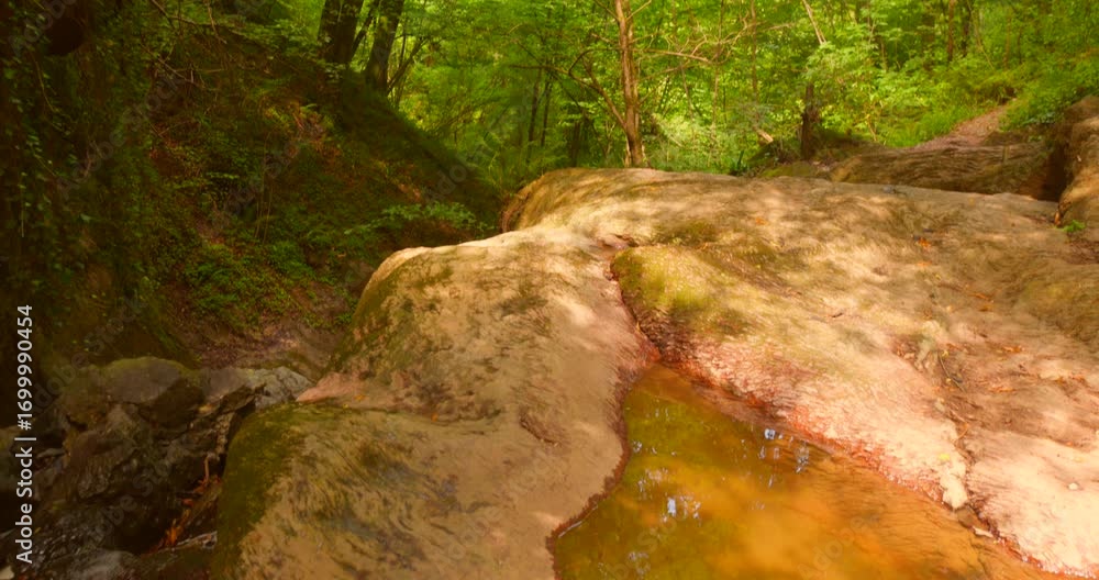 Poster view of enchanting lush greenery of a forest with rocks in foreground and stream of water passing.