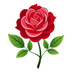 Fototapeta premium red rose isolated on white