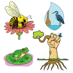 A Collection of Nature Illustrations Featuring Frogs, Stork Bees, and Hands Holding Branches