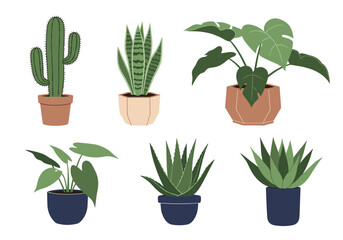 Obraz premium A collection of various potted houseplants including succulents cacti and tropical foliage in a simple decorative style