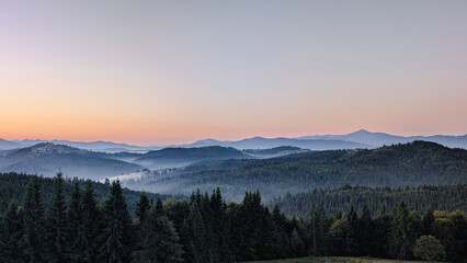Obraz premium mmountain sunrise with pine forest in foreground